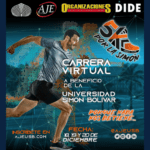 Carrera Virtual USB